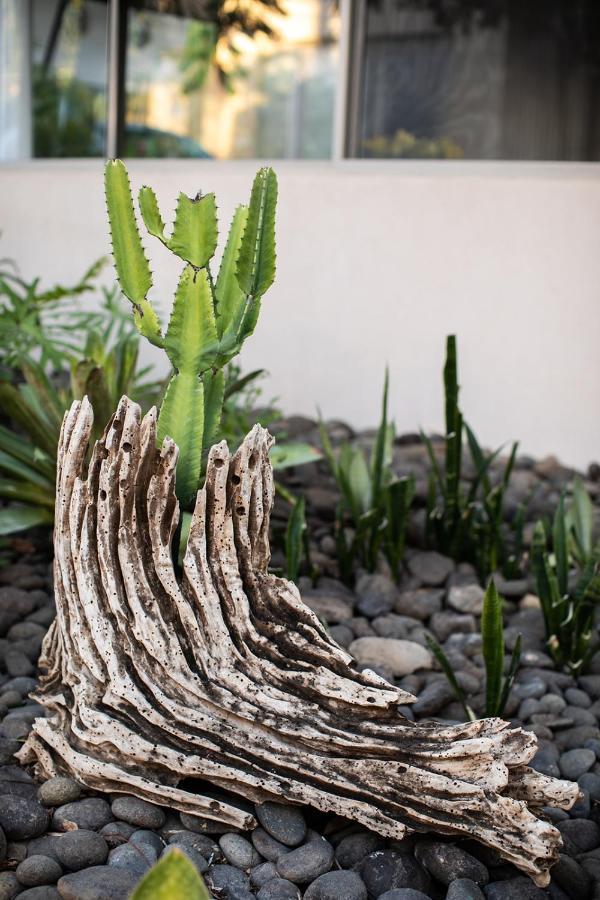 Mother Earth Luxury Boutique Hotel, Restaurant & Spa (Adults Only) Tamarindo Exterior photo